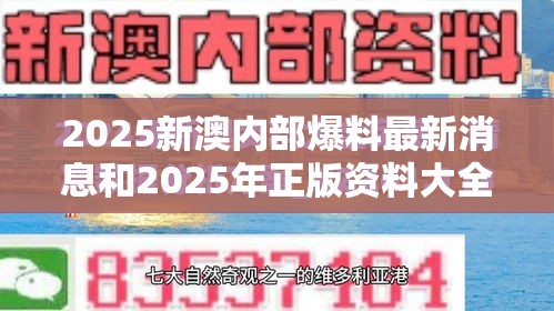 2025新澳内部爆料最新消息和2025年正版资料大全，实用释义、专家解读解释与落实-拒绝欺骗性承诺