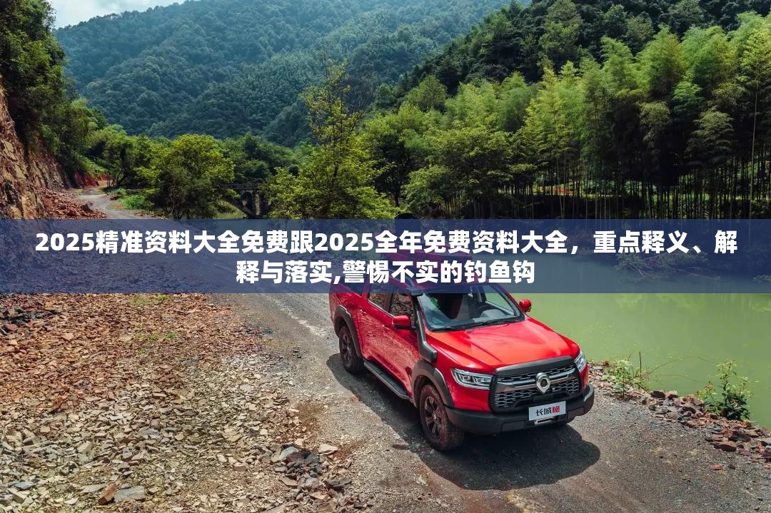 2025精准资料大全免费跟2025全年免费资料大全，重点释义、解释与落实,警惕不实的钓鱼钩