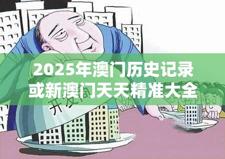 2025年澳门历史记录或新澳门天天精准大全谜语，个人释义、专家解析解释与落实?留心虚假的虚架势