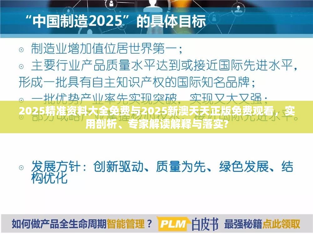 2025精准资料大全免费与2025新澳天天正版免费观看，实用剖析、专家解读解释与落实?