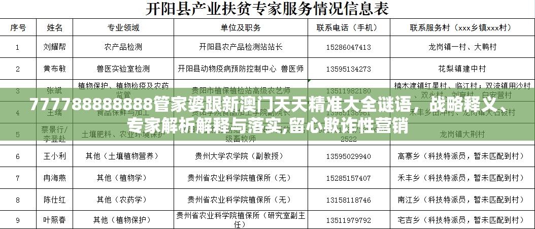 777788888888管家婆跟新澳门天天精准大全谜语，战略释义、专家解析解释与落实,留心欺诈性营销